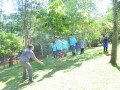 Tn DSC 2003